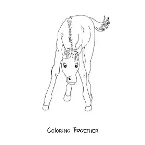 Coloring page of a foal looking straight ahead