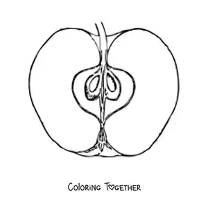 Coloring page of half an apple