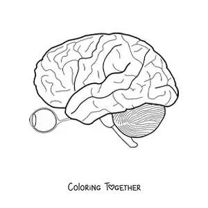 Coloring page of an eye and the optic nerve that connects it to the brain