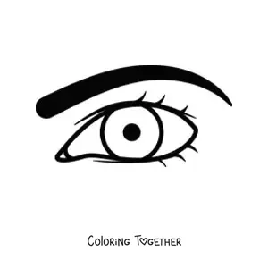 Coloring page of a masculine eye with an eyebrow