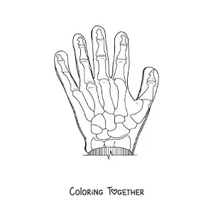 Coloring page of an X-ray of a hand
