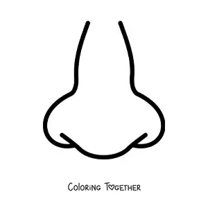Coloring page of a nose from the front