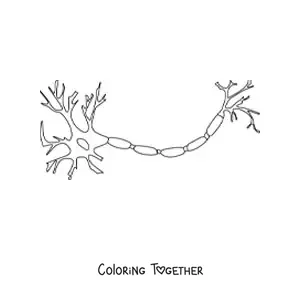 Coloring page of a neuron