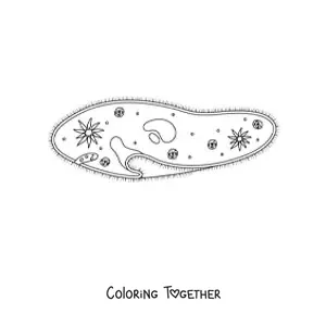 Coloring page of a protozoan