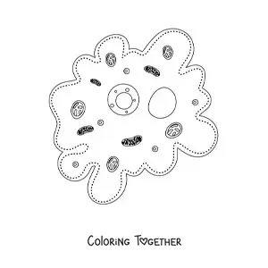 Coloring page of the parts of the cell