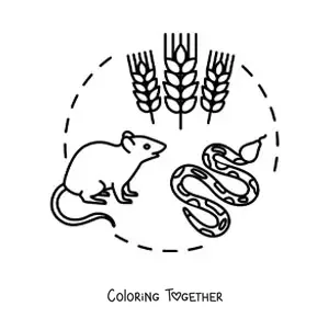Coloring page of the terrestrial food chain