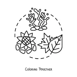 Coloring page of the plantae kingdom