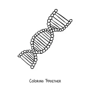 Coloring page of a DNA strand