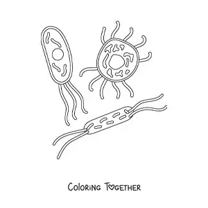 Coloring page of several cellular microorganisms