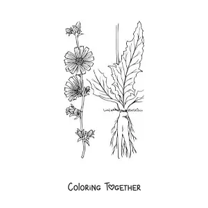 Coloring page of the parts of a plant