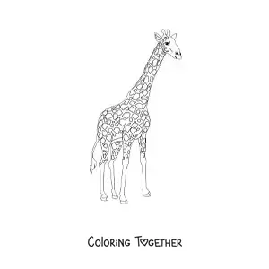 Coloring page of a giraffe looking to the right