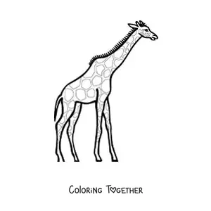 Coloring page of a giraffe looking to the right and stretching its neck