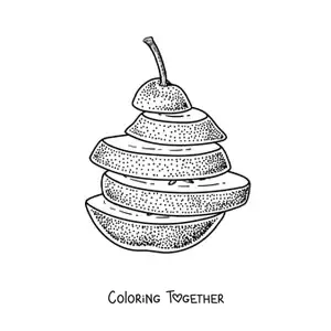 Coloring page of a sliced pear