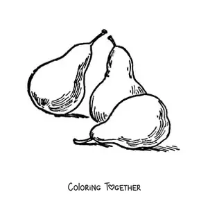 Coloring page of three whole pears