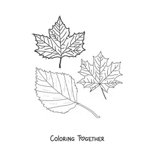 Coloring page of two dry autumn leaves