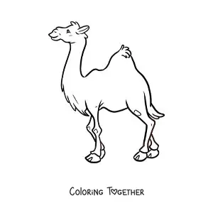 Coloring page of a dromedary