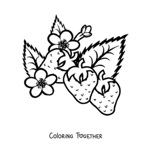 Coloring page of three strawberries and their flowers