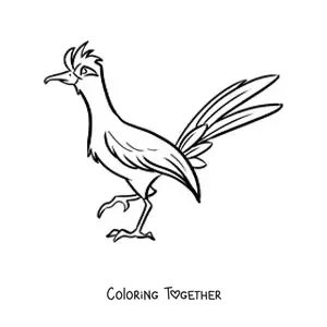 Coloring page of a roadrunner bird