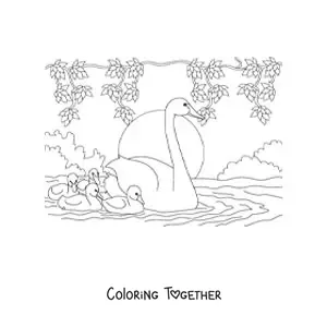 Coloring page of several swans swimming on the lake
