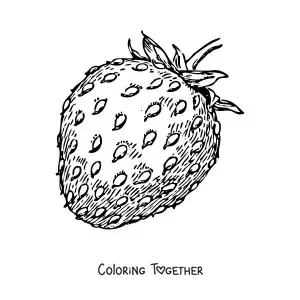 Coloring page of a strawberry with its stem