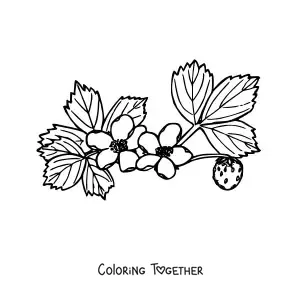 Coloring page of a branch of a strawberry bush with flowers