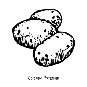Coloring page of three raw potatoes