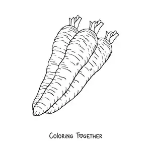 Coloring page of three realistic carrots