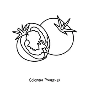 Coloring page of a tomato cut in half