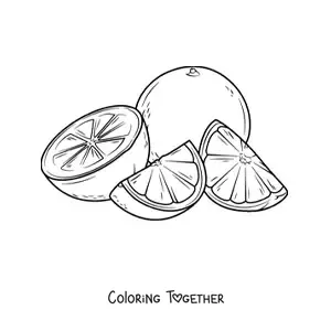 Coloring page of a whole orange next to slices of another orange