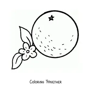 Coloring page of an orange next to its flower
