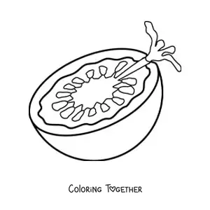 Coloring page of half a tomato