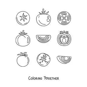 Coloring page of the parts of the tomato