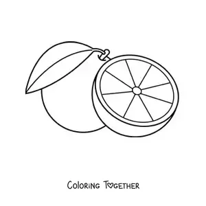 Coloring page of an orange and half an orange