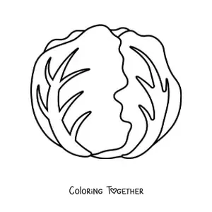 Coloring page of a crisphead lettuce