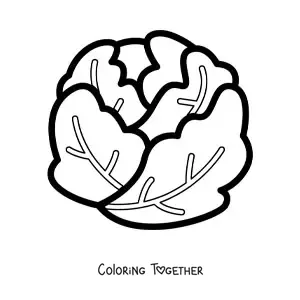 Coloring page of a simple crisphead lettuce