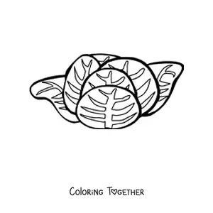 Coloring page of a lettuce