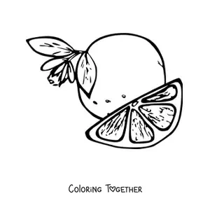 Coloring page of a slice of orange next to an orange with a flower