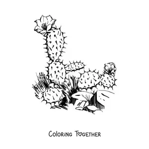 Coloring page of a realistic cactus