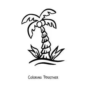 Coloring page of a palm tree with coconuts