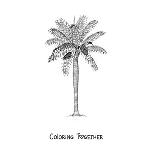 Coloring page of a spiny palm