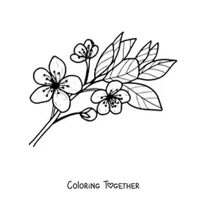 Coloring page of a cherry blossom