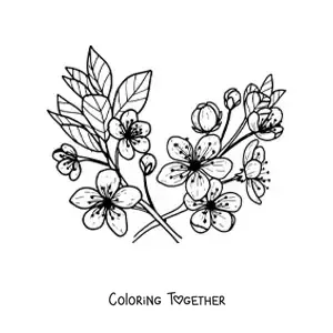 Coloring page of several cherry flowers and leaves