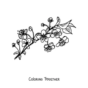 Coloring page of a cherry branch with flowers