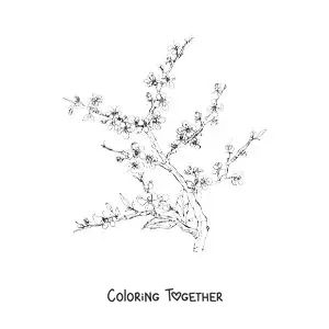 Coloring page of a realistic cherry branch
