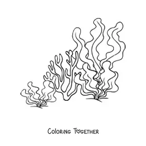 Coloring page of seaweed and a coral