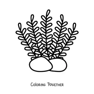 Coloring page of several strands of seaweed