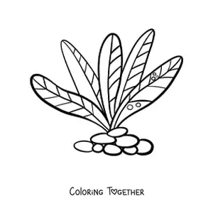 Coloring page of multicellular algae