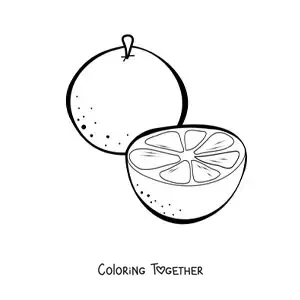 Coloring page of an orange and a half