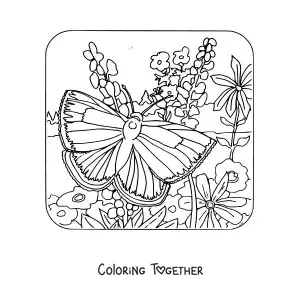 Coloring page of a butterfly resting among flowers