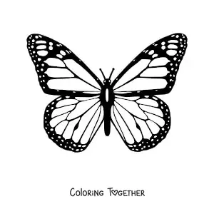 Coloring page of a monarch butterfly with open wings